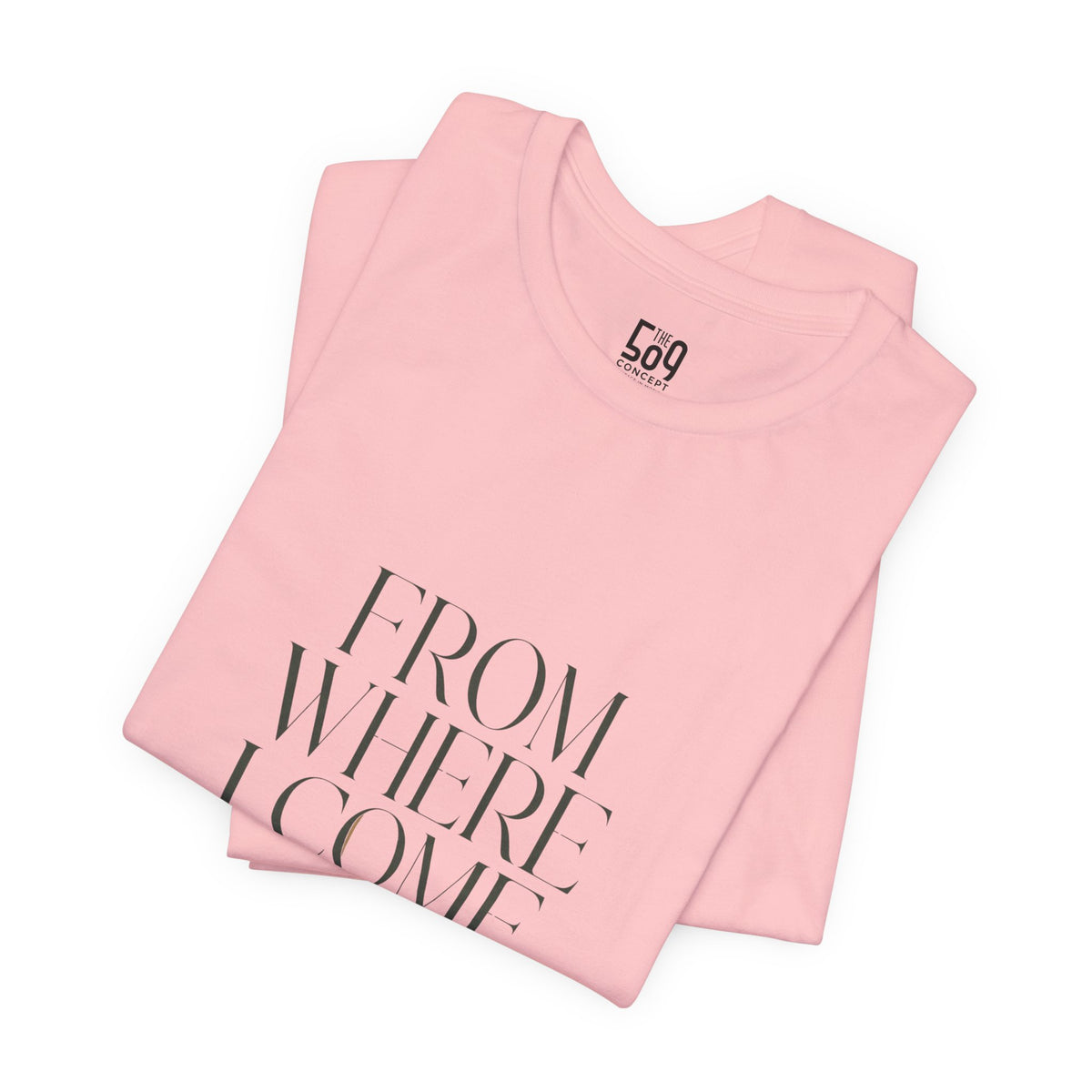From Where I Come, I Rise — T-shirt Graphic Apparel