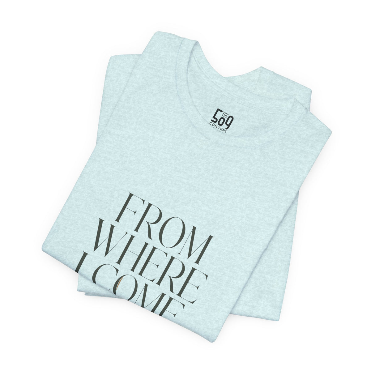 From Where I Come, I Rise — T-shirt Graphic Apparel